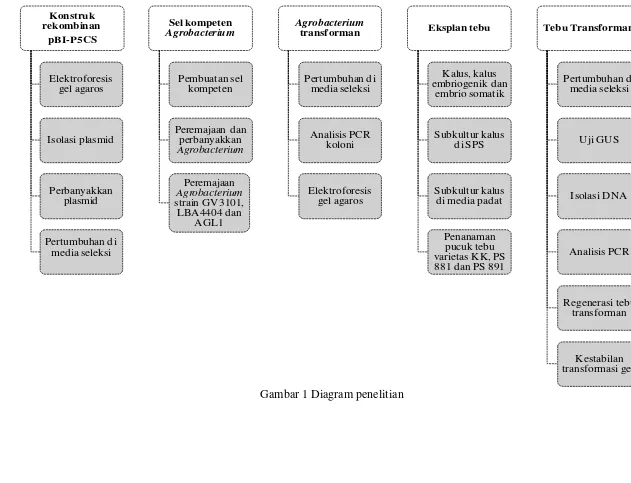 Gambar 1 Diagram penelitian 