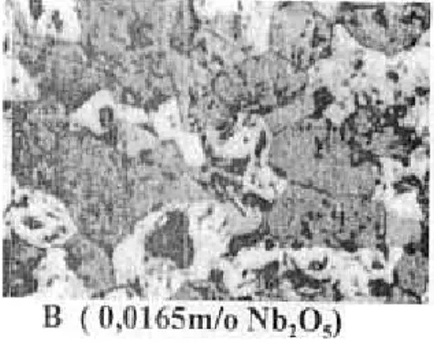 Gambar 6. Struktur mikro  pelet  ZnO-Nb20S  disinter  13000C/ljam (42Sx).
