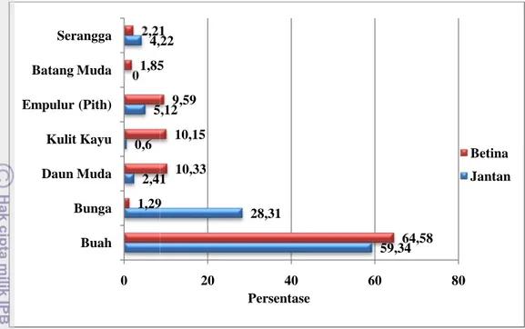 Gambar 11 Grafik perbandingan proporsi jenis makanan orangutan jantan dan orangutan betina.