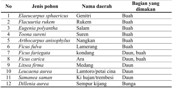 Tabel 2. Jenis  tumbuhan  pakan  siamang di  Taman  Hutan  Raya  Wan  Abdur  Rachman (Andriansyah, 2005).