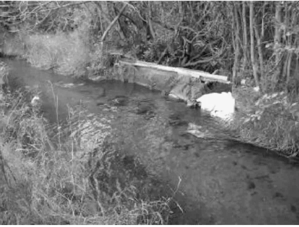 Figure 1.6Breached irrigation ditch approximately 7 ft (2.1 m) wide using carpetas a dam material.