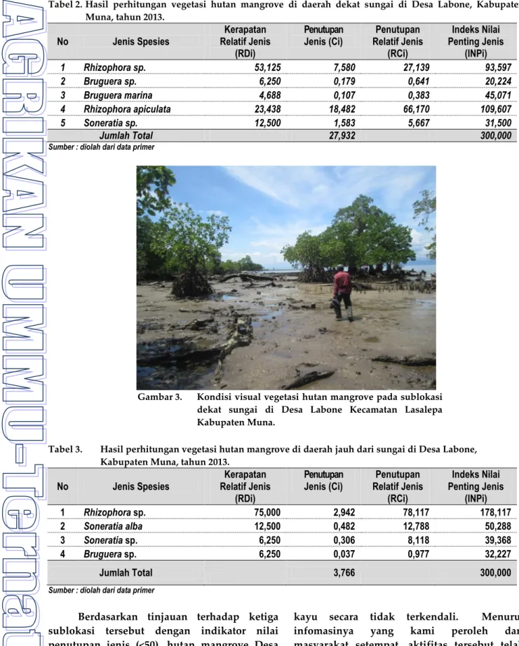 Tabel 2.  Hasil  perhitungan  vegetasi  hutan  mangrove  di  daerah  dekat  sungai  di  Desa  Labone,  Kabupaten  Muna, tahun 2013