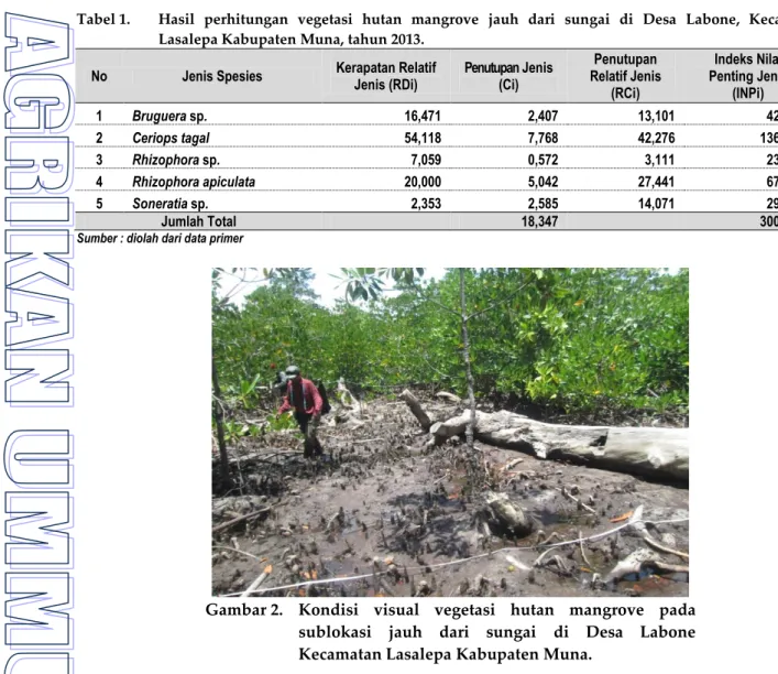Tabel 1.   Hasil  perhitungan  vegetasi  hutan  mangrove  jauh  dari  sungai  di  Desa  Labone,  Kecamatan  Lasalepa Kabupaten Muna, tahun 2013