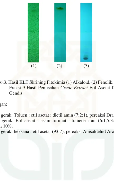 Gambar 6.3. Hasil KLT Skrining Fitokimia (1) Alkaloid, (2) Fenolik, (3) Terpenoid    Fraksi  9 Hasil Pemisahan  Crude Extract  Etil Asetat Daun Dandang  Gendis 