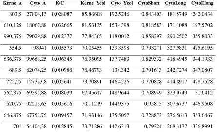 Tabel 2 Sampel Data Analisis Tekstur 
