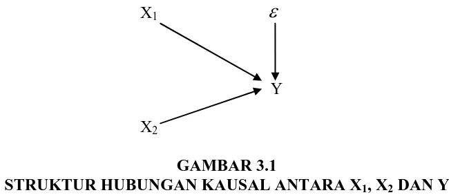GAMBAR 3.1 STRUKTUR HUBUNGAN KAUSAL ANTARA X
