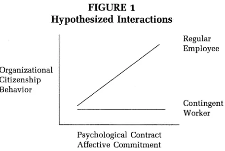FIGURE 1 Hypothesized Interactions 