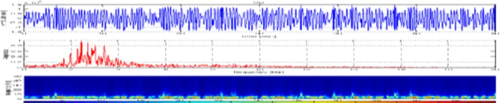 Gambar 10. Contoh rekaman seismik gempa Tremor Harmonik