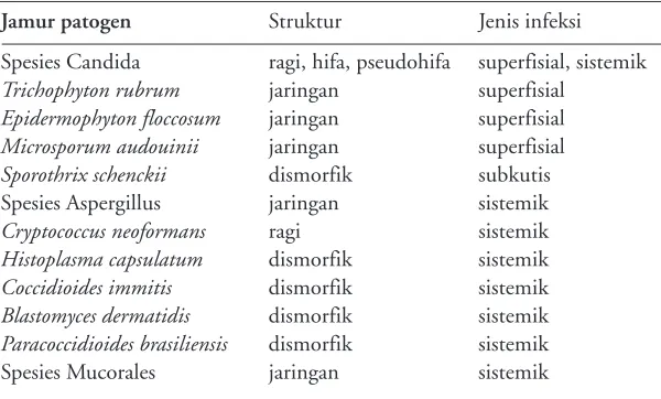 Tabel 1. Beberapa jenis jamur patogen pada manusia4