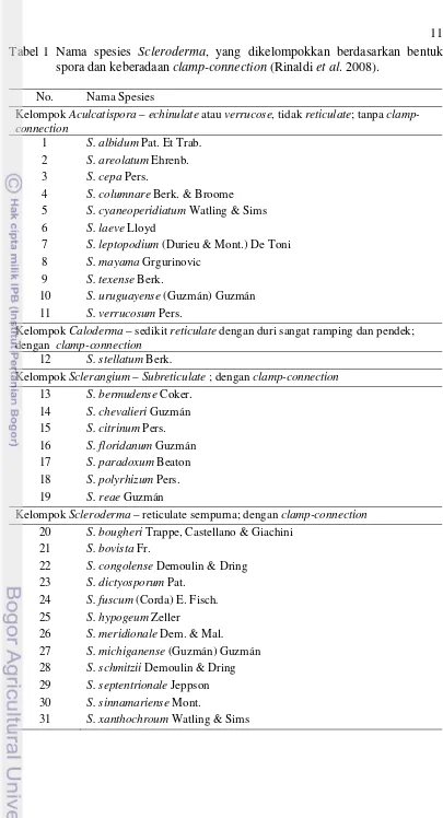 Tabel 1 Nama spesies Scleroderma, yang dikelompokkan berdasarkan bentuk spora dan keberadaan clamp-connection (Rinaldi et al