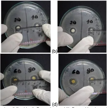 Gambar 5.7  Hasil  Pengukuran  Uji  Daya  Hambat  ekstrakbuah  pare  (Momordica  charantia)  terhadap  pertumbuhan  Salmonella  typhi  (a)  konsentrasi  20% (b) konsentrasi 40%, (c) konsentrasi 60%, (e) konsentrasi 80%