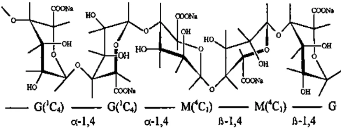 Gambar 4. Struktur natrium alginat (Anonim e  2008)  2.3.1.2. Karakteristik dan stabilitas 
