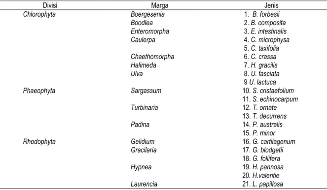 Tabel 1. Berbagai Jenis Rumput Laut di Pantai Bayah Kabupaten Lebak, Banten 