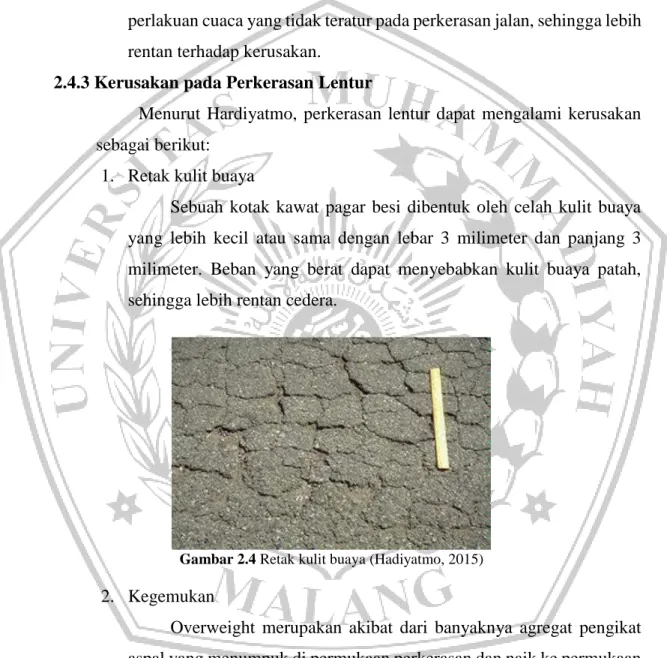 Gambar 2.4 Retak kulit buaya (Hadiyatmo, 2015) 