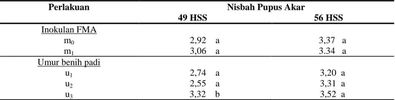 Tabel  7.  Efek  mandiri  pengaruh  inokulan  FMA  dan  umur  benih  terhadap  Nisbah  Pupus  Akar  (NPA)  pada  tanaman padi umur 49 HSS dan 56 HSS