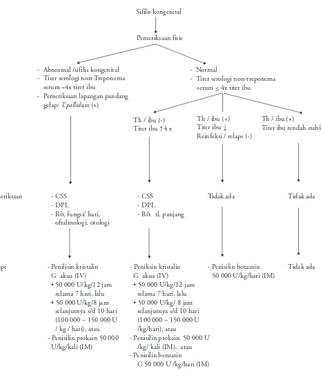 Gambar 2. Tata laksana sifilis kongenital4