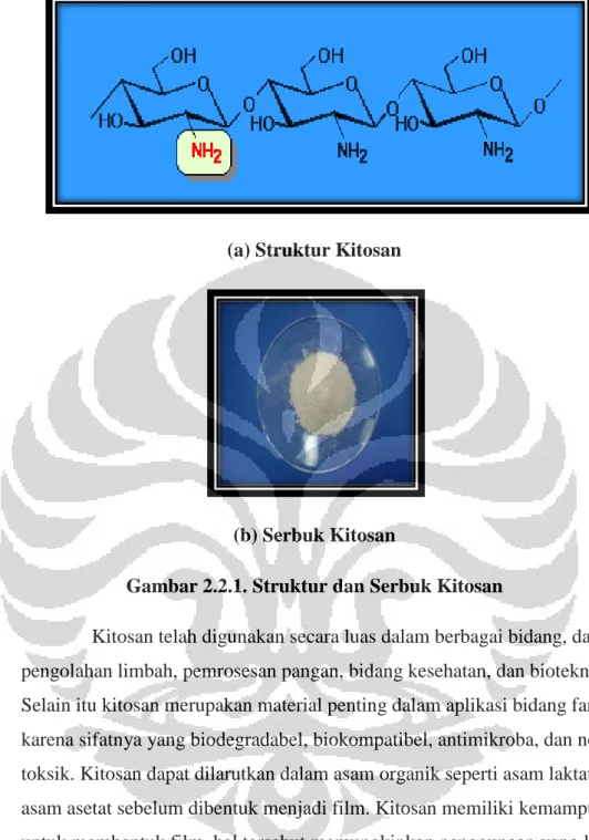 Gambar 2.2.1. Struktur dan Serbuk Kitosan 