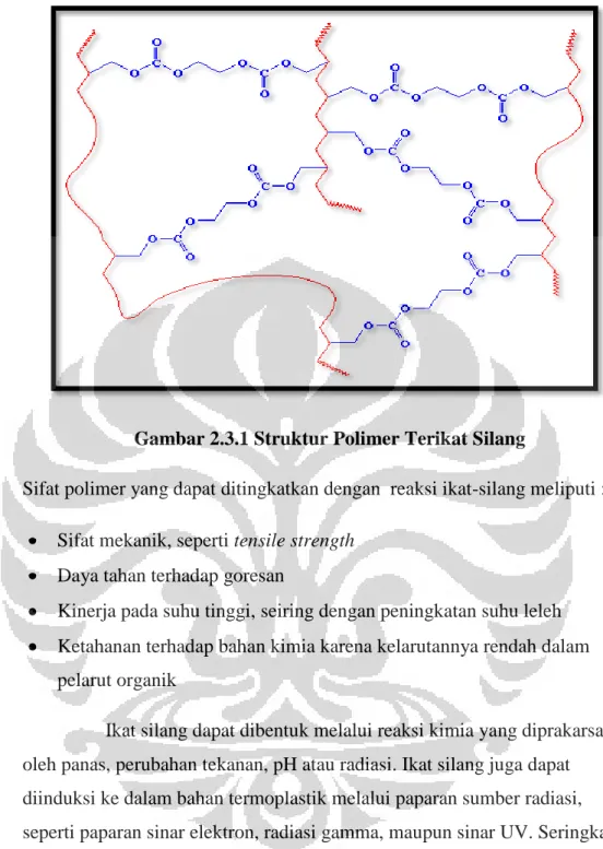 Gambar 2.3.1 Struktur Polimer Terikat Silang 