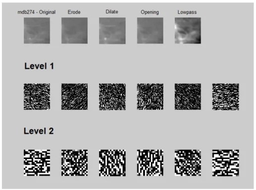 Gambar 3.2 Contoh Proses DT CWT 