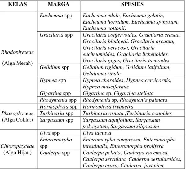 Tabel 3. Jenis-jenis rumput laut di Indonesia (Sediadi dan Budihardjo, 2000 dan  Aslan, 2004) 