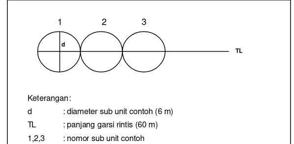 Gambar 4.2 Sketsa garis transek dan sub-unit contoh berbentuk lingkaran yang 