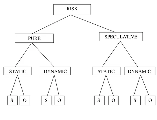 Gambar 2.1 Klasifikasi Risiko menurut Trieschmann,Hoyt,&amp;Sommer 2009 
