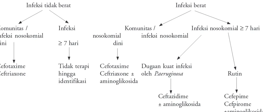 Gambar 2. Sefalosporin sebagai antibiotik empiris.16