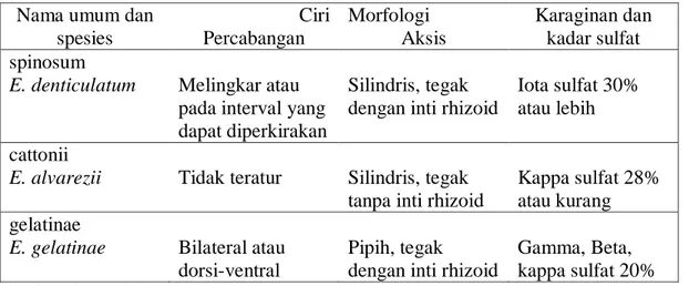 Tabel 1. Perbedaan ketiga jenis Eucheuma bernilai ekonomis  Nama umum dan 