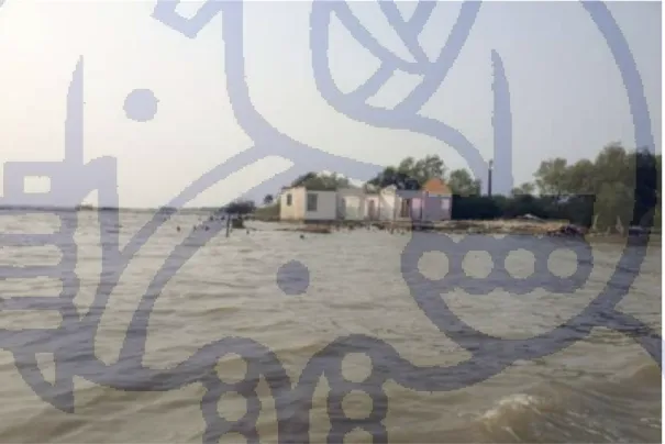 Gambar 2.2 Rumah Warga Yang Ditinggalkan Akibat Abrasi Pantai 