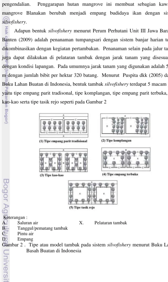 Gambar 2 .  Tipe atau model tambak pada sistem silvofishery menurut Buku Lahan  Basah Buatan di Indonesia 