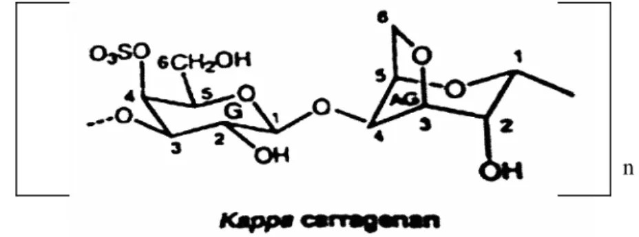 Gambar 3 Struktur molekul kappa karagenan (Tojo dan Prado 2003) 