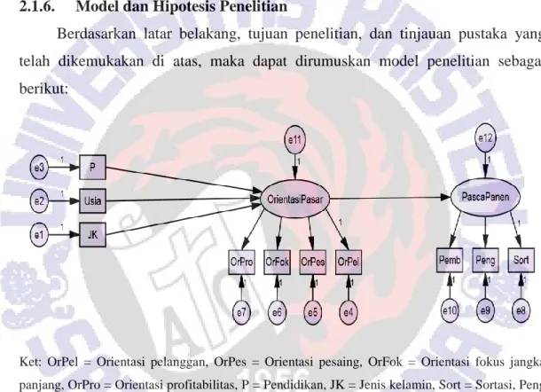 Gambar 1. Model Penelitian 