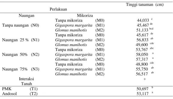 Tabel  1.        Pengaruh  Naungan,  Jenis  Tanah  Dan  Inokulasi  Mikoriza  Pada  Tinggi  Tanaman  Bibit  Kakao (Cm) Umur 120 Hari Setelah Tanam  