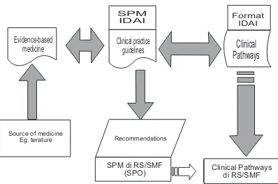 Gambar 6. Skema ringkas peran organisasi profesi IDAI dalam mempersiapkan SPMdan format Clinical Pathways Kesehatan Anak.