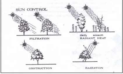 Gambar 36. Cara vegetasi mengontrol radiasi matahari: (a) 4 mekanisme vegetasi;  