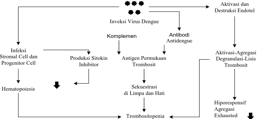 Gambar 2.3. Mekanisme Trombositopenia pada Demam Berdarah Dengue 