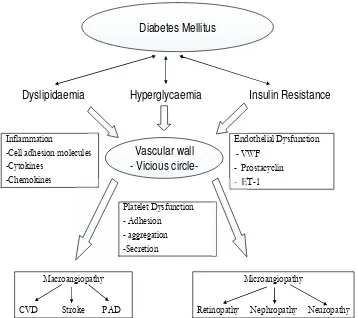 Gambar 2.3 Patogenesis diabetes angiopati 3