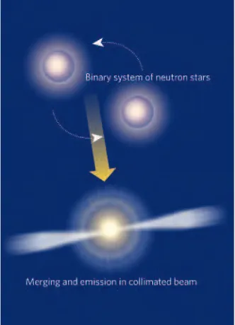 Figure 1 |extremely dense compact objects — remnants ofexploded stars such as neutron stars or blackholes — merge, sending out a highly directedemission at most favoured model of the formation of short �recent observations Bursting onto the scene