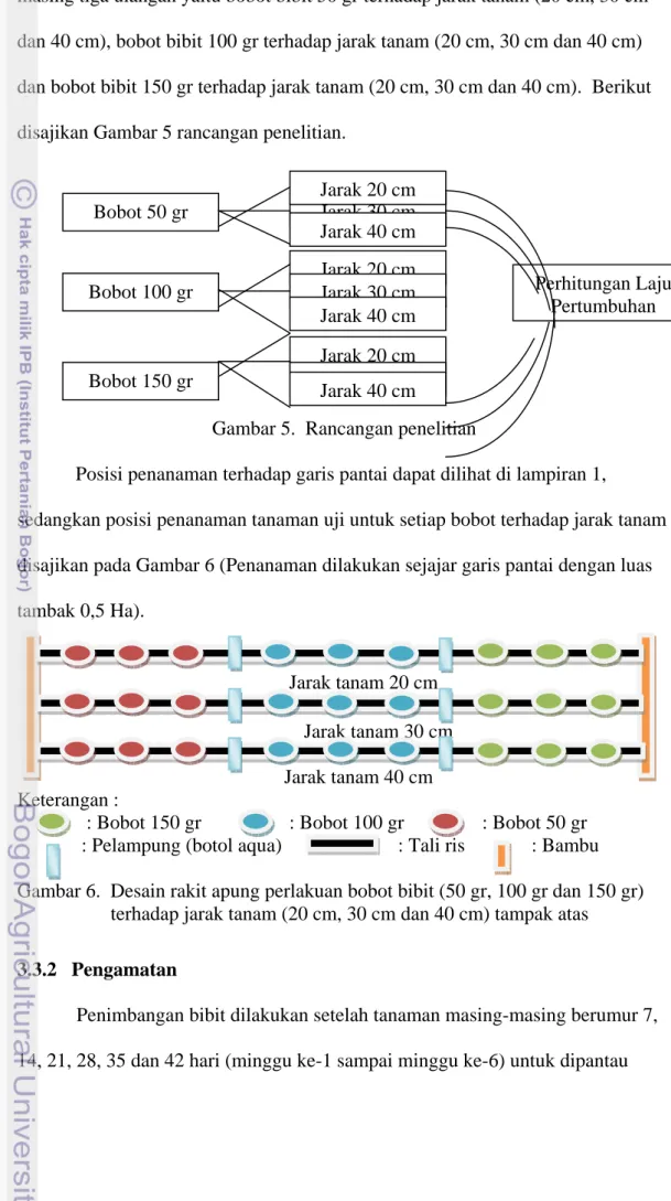 Gambar 5.  Rancangan penelitian 