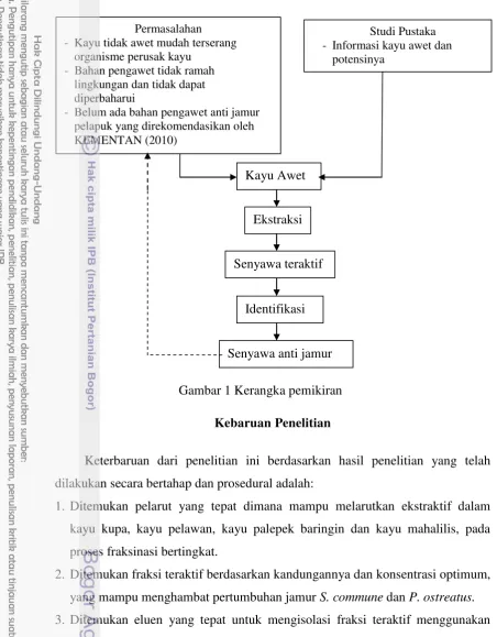 Gambar 1 Kerangka pemikiran   