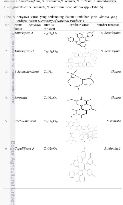 Tabel 5 Senyawa kimia yang terkandung dalam tumbuhan jenis Shorea yang 
