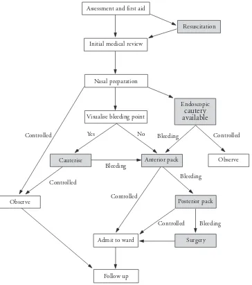 Gambar 1. Protokol tata laksana epistaksis7