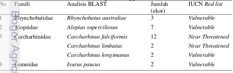 Tabel 1. Hasil identifikasi spesies ikan hiu yang didaratkan di Pelabuhan 