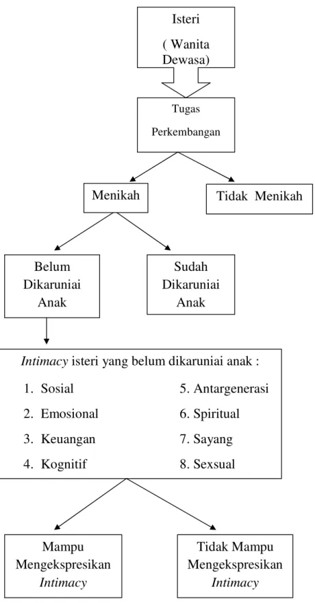 Gambar 1.1 Kerangka Berpikir Gambaran Intimacy Isteri Terhadap Pasangannya  (Studi Pada Isteri Yang Belum Di Karuniai Anak) 