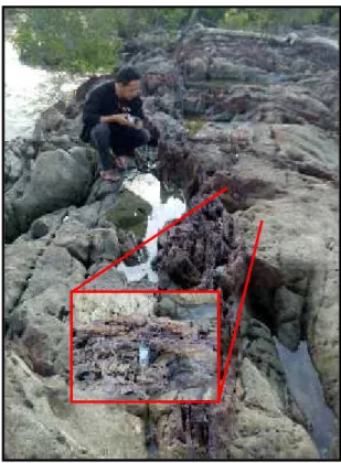 Gambar 1. Urat Bijih Besi yang menginstrusi batu pasir di Pangkalan Pandi b. Potensi  Sumber  Daya  Bahan