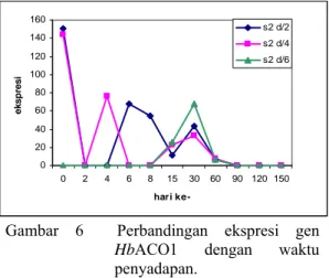 Gambar 5  Ekspresi gen HbACO1. 