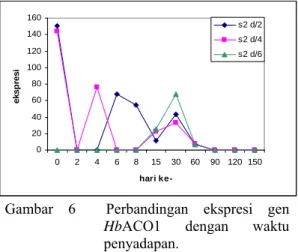 Gambar 5  Ekspresi gen HbACO1. 