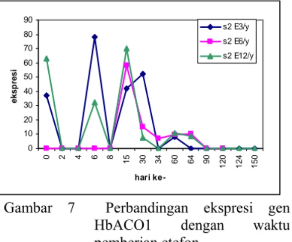 Gambar 7  Perbandingan ekspresi gen  HbACO1 dengan waktu  pemberian etefon. 