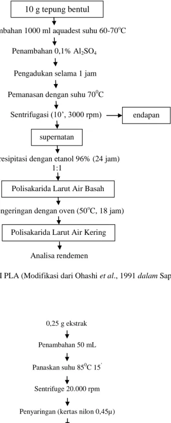 Diagram Alir EkstraksI PLA (Modifikasi dari Ohashi et al., 1991 dalam Saputri., 2013) 10 g tepung bentul 