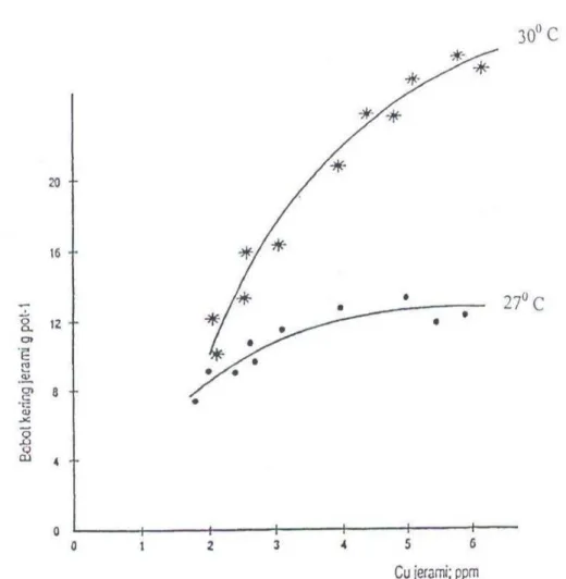 Gambar  5.1.  Hubungan  antara  bobot  kering  jerami  dan  Cu  jerami  tanaman  gandum  yang  ditanam  pada  dua  suhu  percobaan  selama  6  minggu